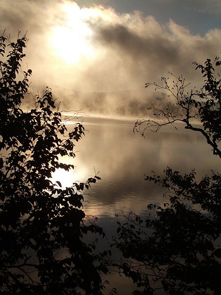 Fog rising from the lake