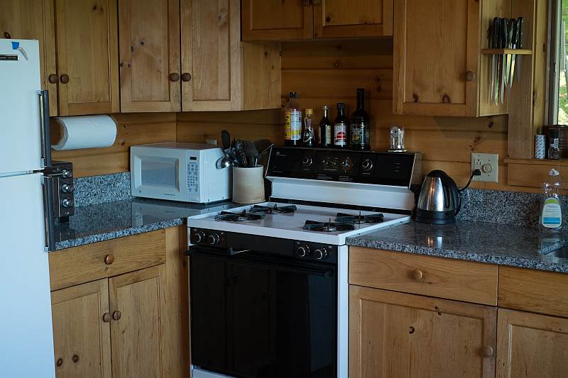 Kitchen showing microwave, stove, and granite countertop