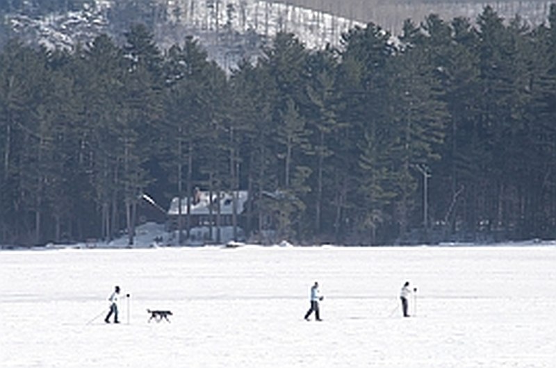 Passing cross country skiers